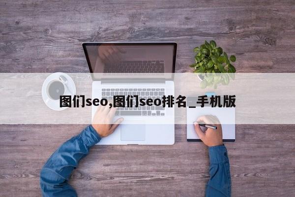 图们seo