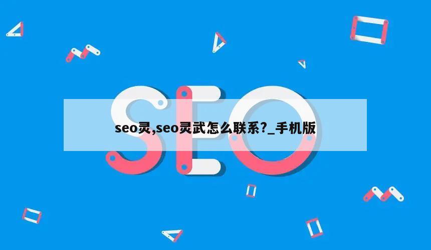 seo灵,seo灵武怎么联系?_手机版