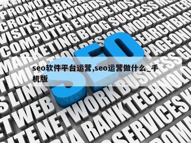 seo软件平台运营,seo运营做什么_手机版