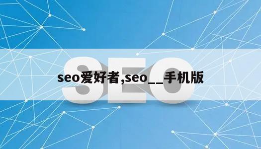 seo爱好者