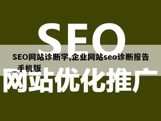 SEO网站诊断学,企业网站seo诊断报告_手机版