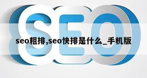 seo粗排,seo快排是什么_手机版