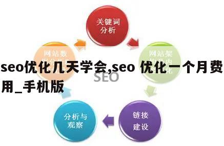 seo优化几天学会,seo 优化一个月费用_手机版