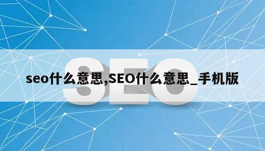 seo什么意思