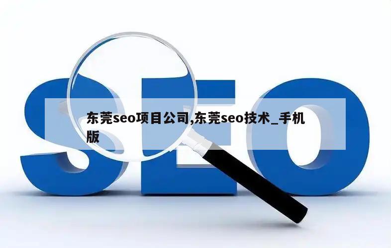 东莞seo项目公司