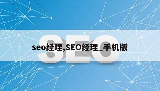 seo经理,SEO经理_手机版