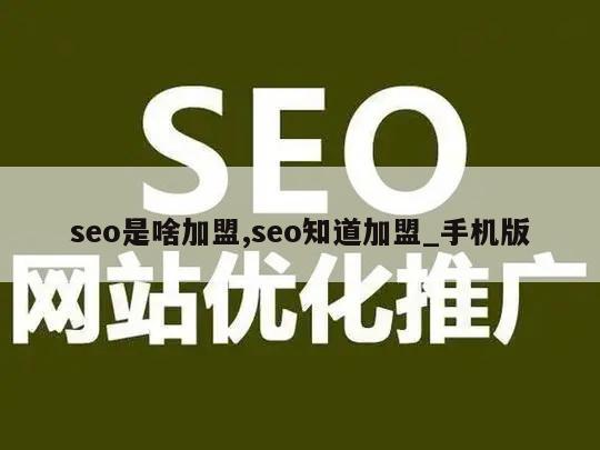 seo是啥加盟,seo知道加盟_手机版