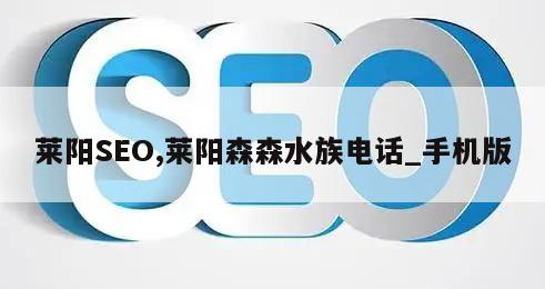 莱阳SEO