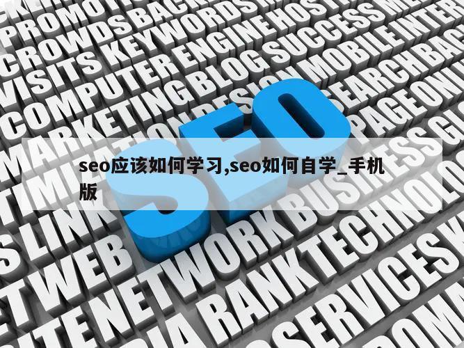 seo应该如何学习,seo如何自学_手机版