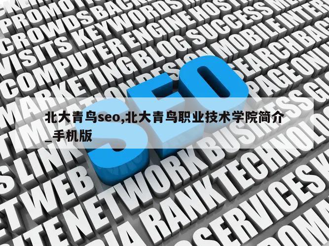 北大青鸟seo,北大青鸟职业技术学院简介_手机版