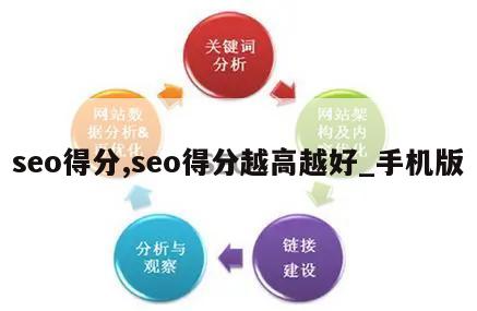 seo得分,seo得分越高越好_手机版