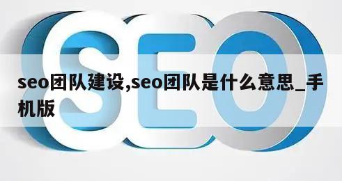 seo团队建设,seo团队是什么意思_手机版