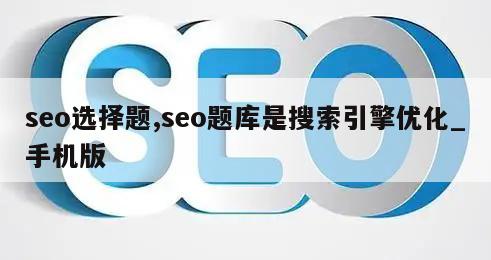 seo选择题