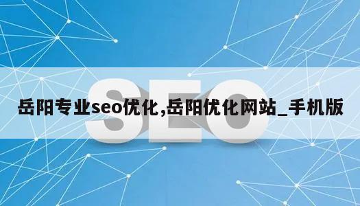 岳阳专业seo优化,岳阳优化网站_手机版