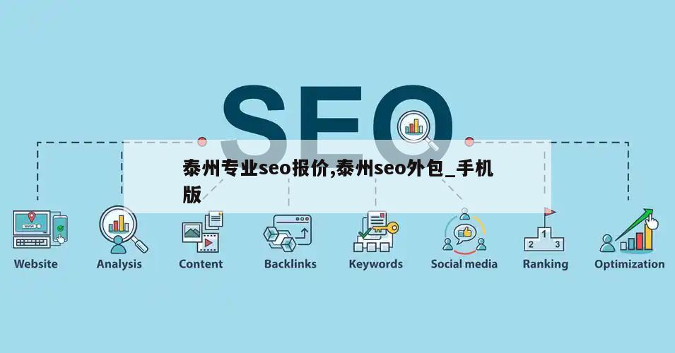 泰州专业seo报价