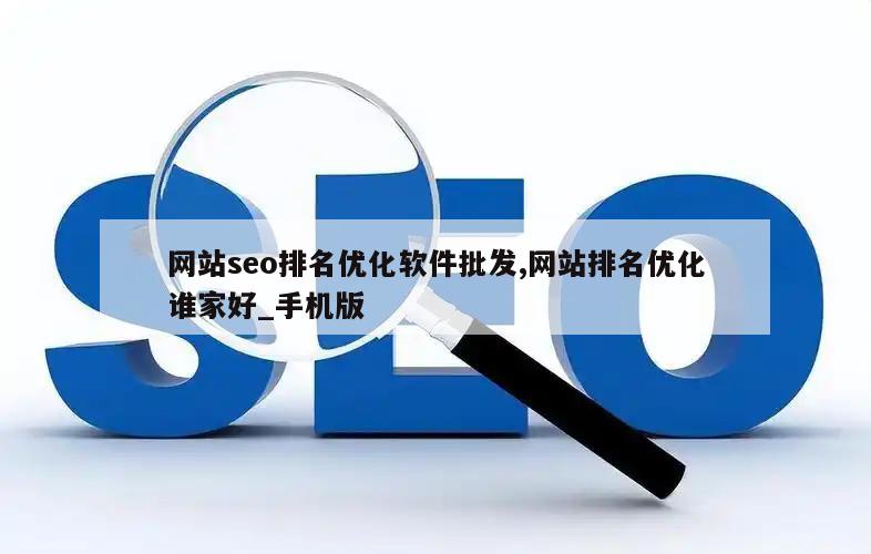 网站seo排名优化软件批发,网站排名优化谁家好_手机版