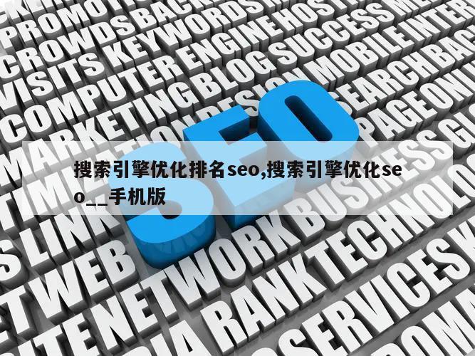 搜索引擎优化排名seo