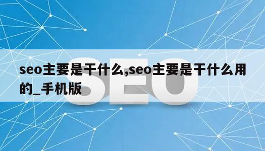 seo主要是干什么,seo主要是干什么用的_手机版