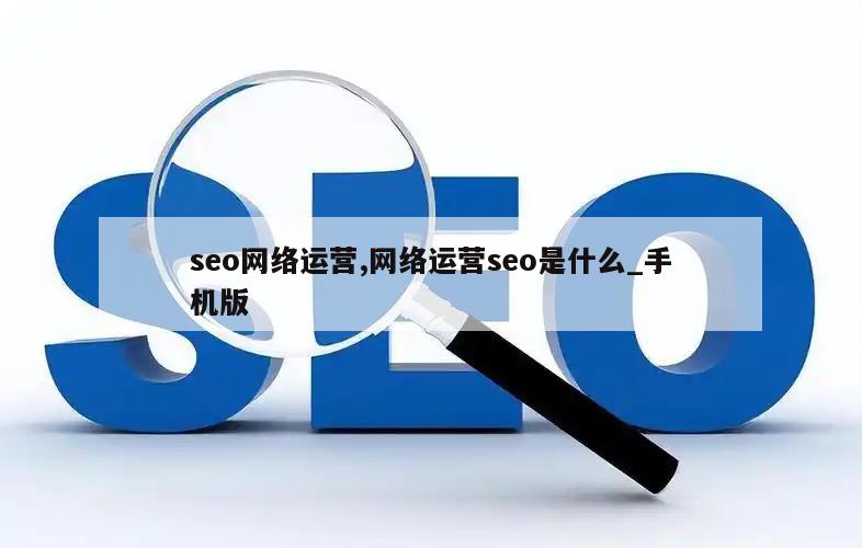 seo网络运营,网络运营seo是什么_手机版