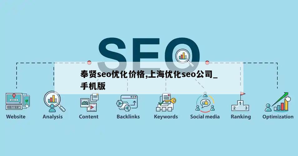 奉贤seo优化价格