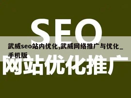 武威seo站内优化