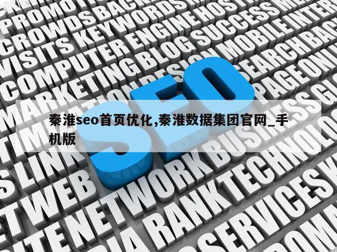 秦淮seo首页优化,秦淮数据集团官网_手机版