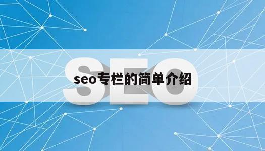 seo专栏的简单介绍