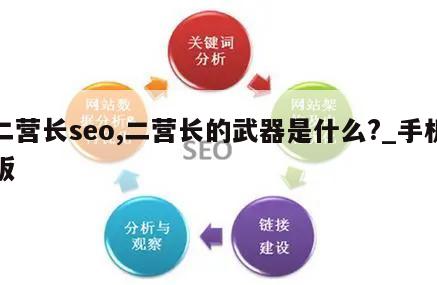 二营长seo,二营长的武器是什么?_手机版