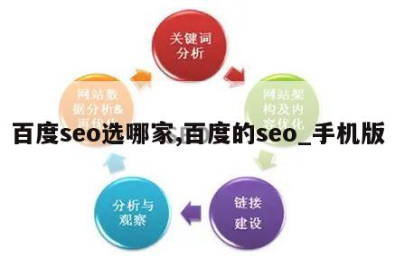 百度seo选哪家,百度的seo_手机版