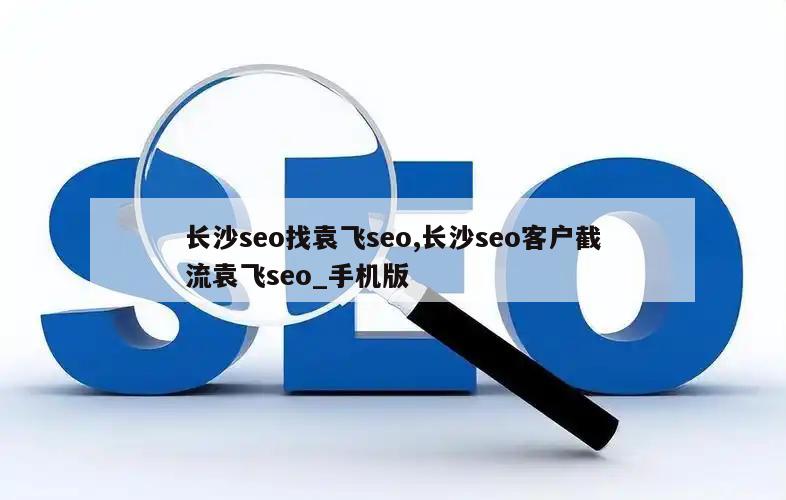 长沙seo找袁飞seo,长沙seo客户截流袁飞seo_手机版