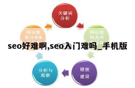 seo好难啊,seo入门难吗_手机版