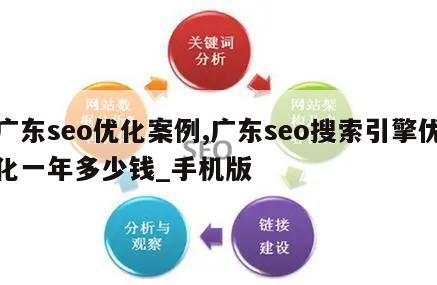 广东seo优化案例