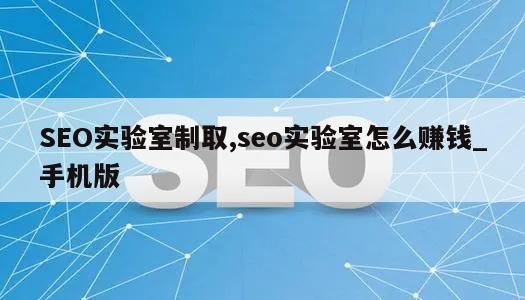 SEO实验室制取,seo实验室怎么赚钱_手机版