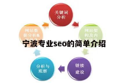 宁波专业seo