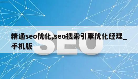 精通seo优化,seo搜索引擎优化经理_手机版