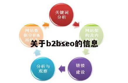 关于b2bseo的信息