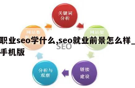 职业seo学什么,seo就业前景怎么样_手机版