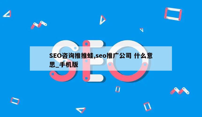 SEO咨询推推蛙,seo推广公司 什么意思_手机版