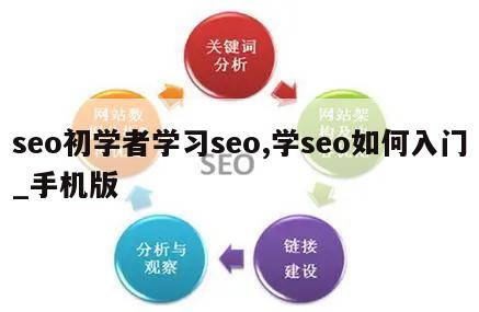 seo初学者学习seo,学seo如何入门_手机版