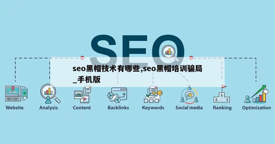 seo黑帽技术有哪些,seo黑帽培训骗局_手机版