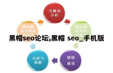 黑帽seo论坛,黑帽 seo_手机版