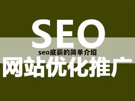 seo底薪的简单介绍