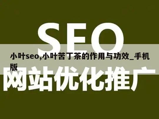 小叶seo,小叶苦丁茶的作用与功效_手机版