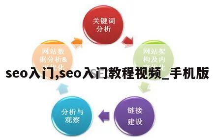 seo入门,seo入门教程视频_手机版