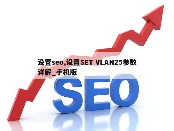 设置seo,设置SET VLAN25参数详解_手机版