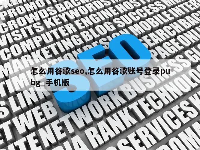 怎么用谷歌seo,怎么用谷歌账号登录pubg_手机版