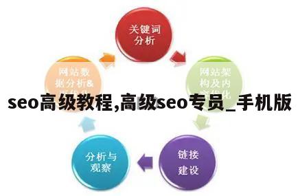 seo高级教程,高级seo专员_手机版