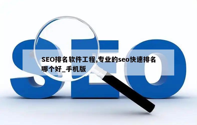 SEO排名软件工程,专业的seo快速排名哪个好_手机版