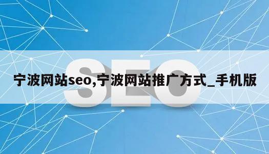 宁波网站seo,宁波网站推广方式_手机版