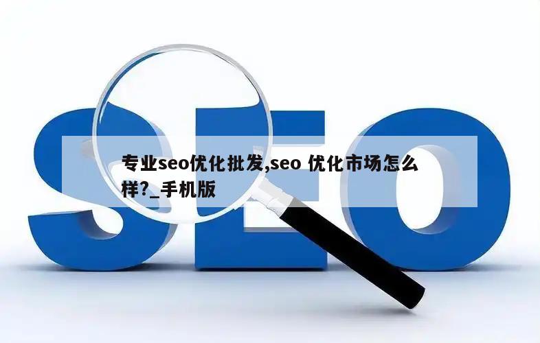 专业seo优化批发,seo 优化市场怎么样?_手机版